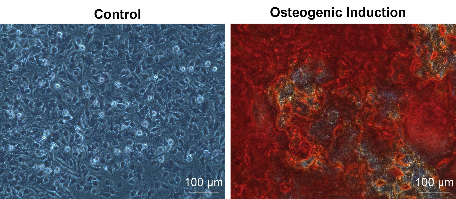 figure3 1