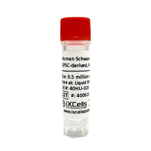 Image of IPSC-derived Schwann Cells