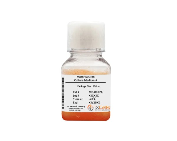Motor Neuron Culture Medium A