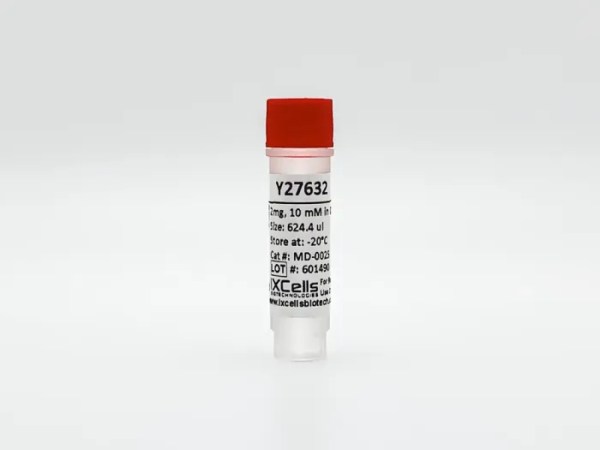 Y27632