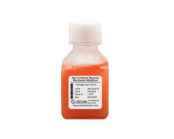 Rat Cortical Neuron Recovery Medium