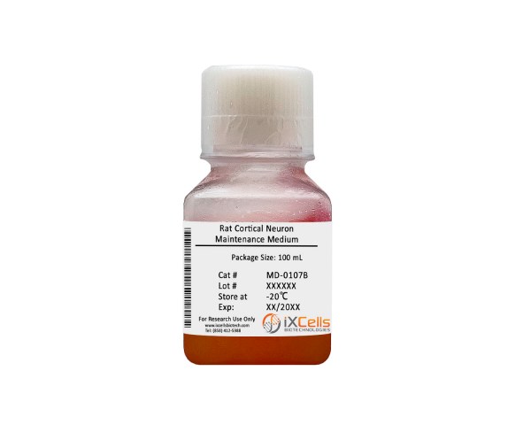 Rat Cortical Neuron Maintenance Medium