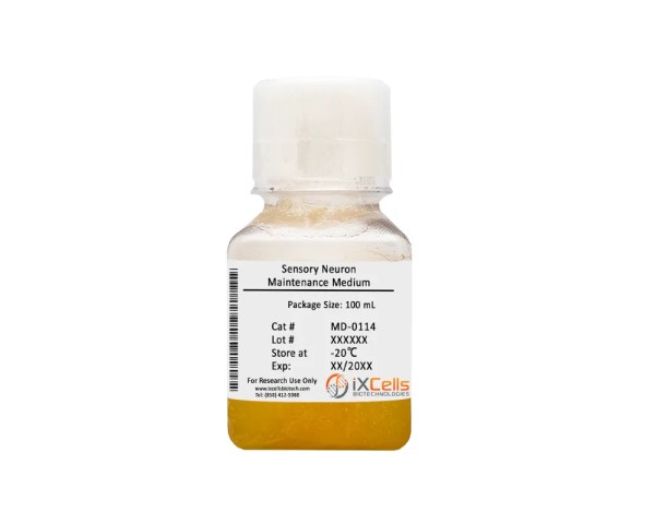 Human Sensory Neuron Maintenance Medium