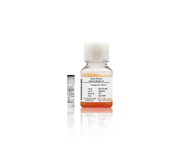 iXCells™ Motor Neuron Activity Medium Kit