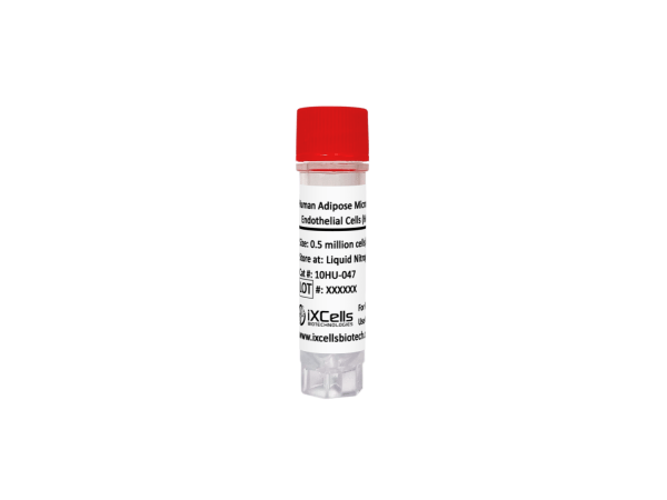 Human Adipose Microvascular Endothelial Cells (HAMEC)