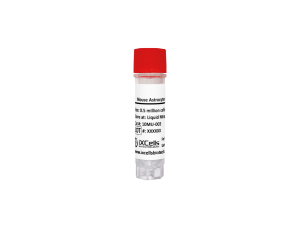 Mouse Astrocytes (MA)