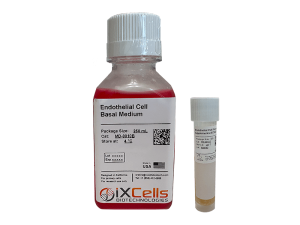 Endothelial Cell Growth Medium
