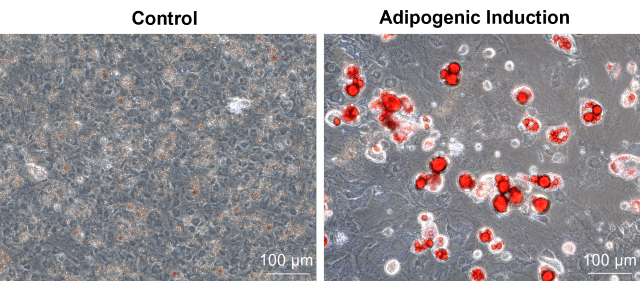 figure2