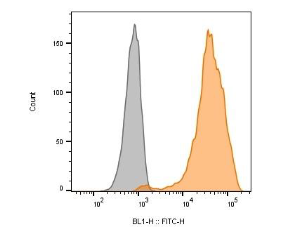 Human Peripheral Blood CD8 Cytotoxic T Cells Untouched description 
