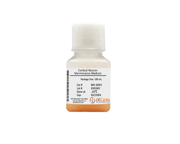 Cortical Neuron Maintenance Medium