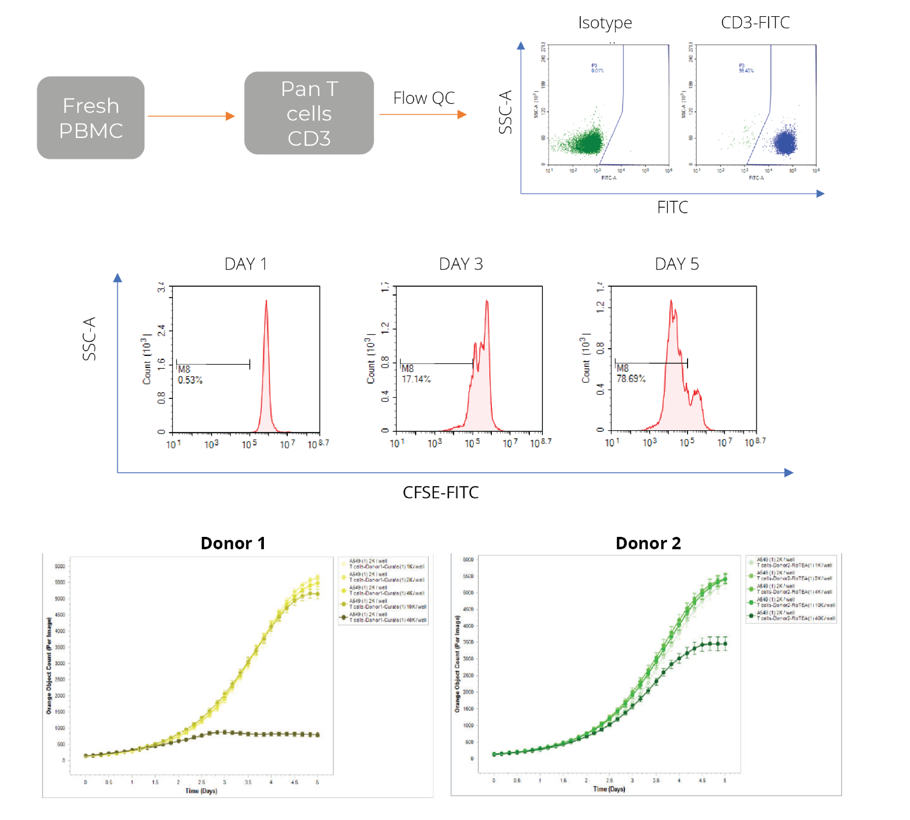 T-Cell Killing Assay