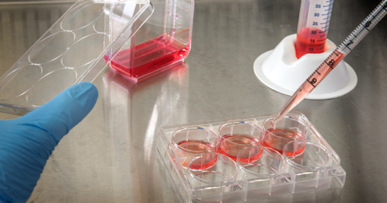 In vitro assay services at iXCells Biotechnologies