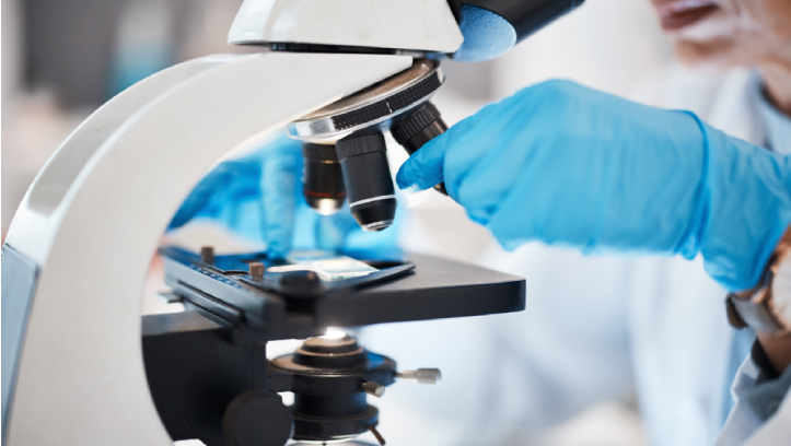 ixCells Biotechnologies team working in the lab